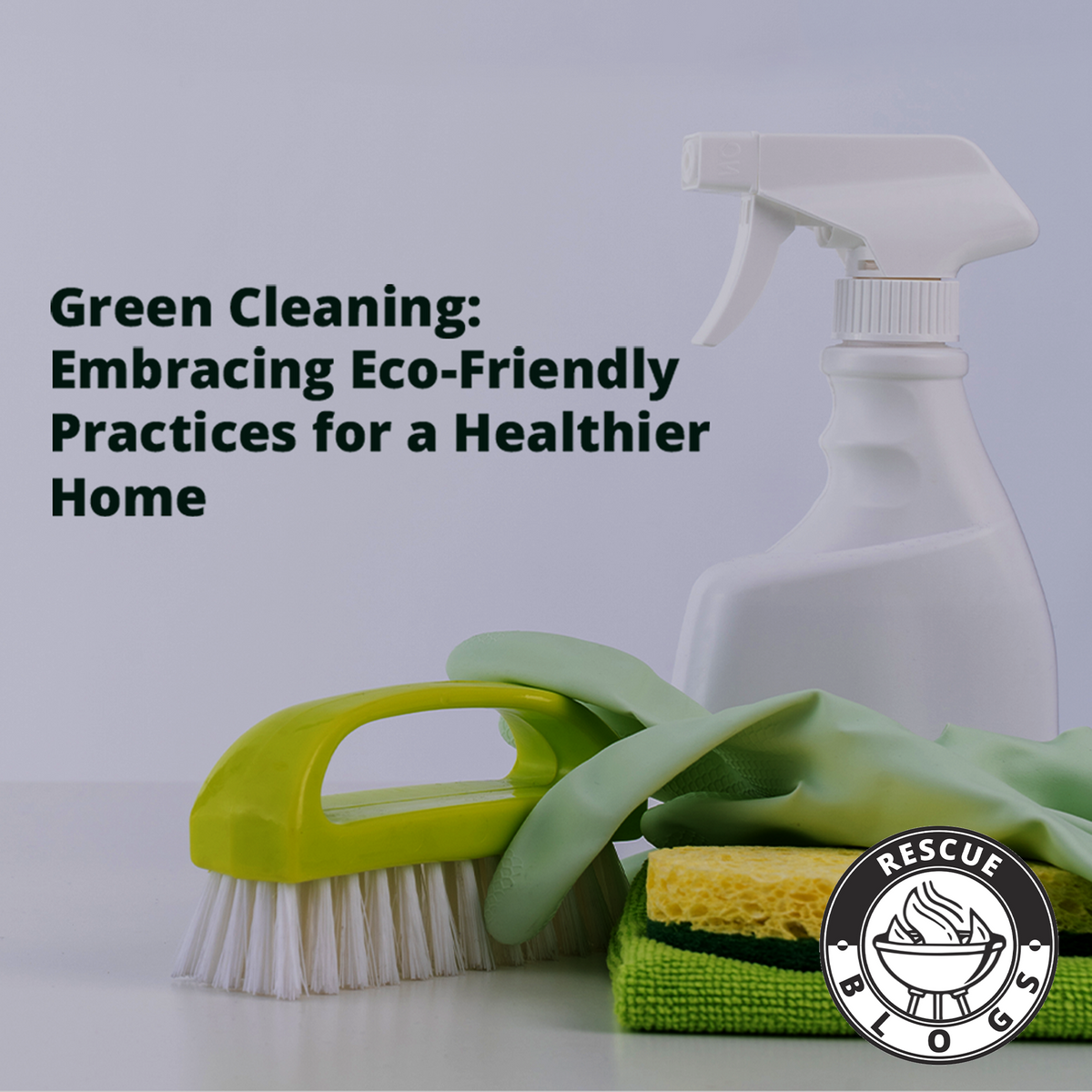 Green Cleaning: Embracing Eco-Friendly Practices for a Healthier Home ...