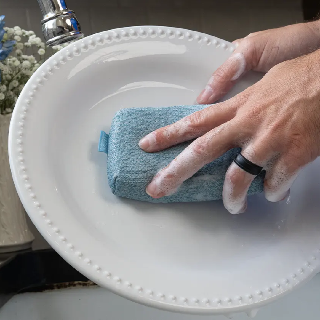 Blue Forever Sponge - 2 Pack